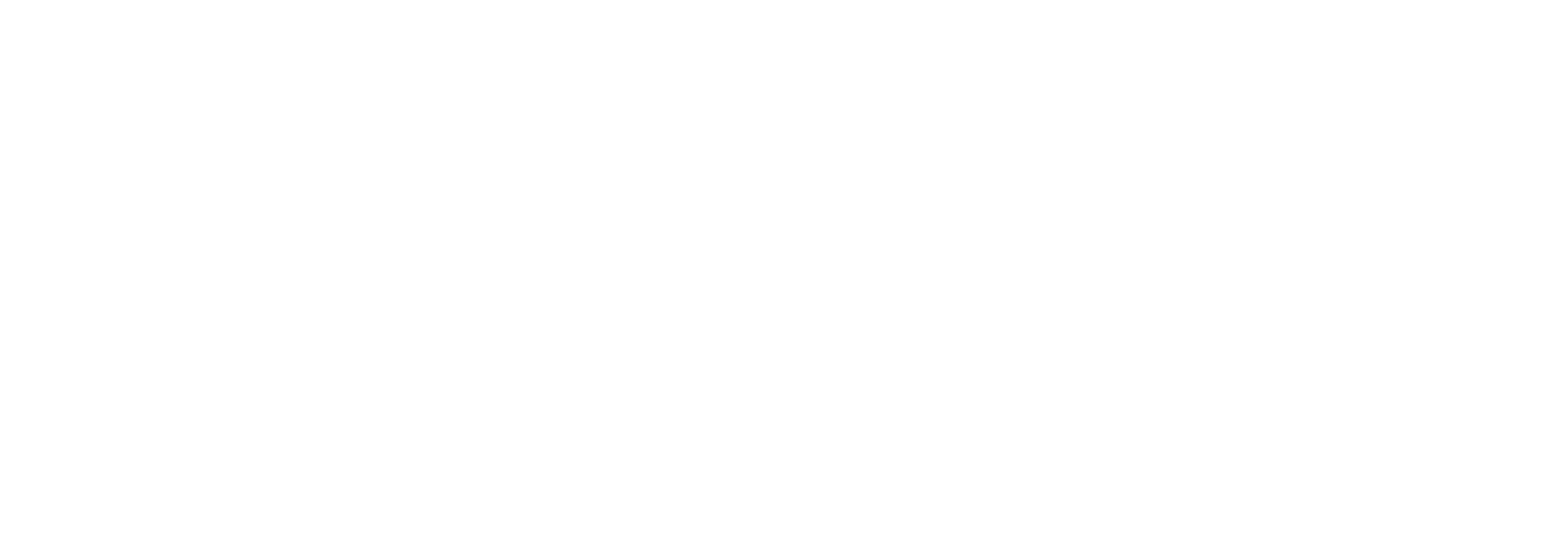 Visor Vault